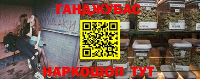 крисы Краснознаменск