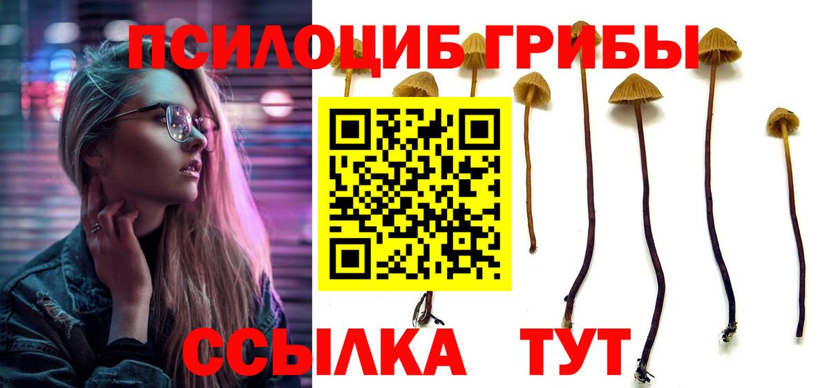 где можно купить   Вход с VPN  Кемерово  Псилоцибиновые грибы GOLDEN TEACHER 